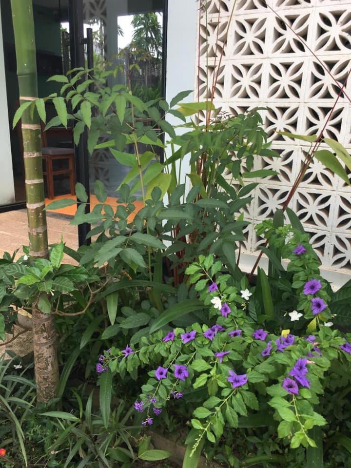Villa D'Orange Siem Reap Exterior foto